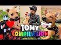 🥹 El RESCATE de TOMY 🐶 COMPILACION (Completa) 💖 #tomy #rescate #perritos #funny #humor #cute #love