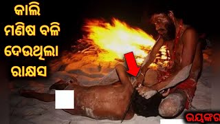 ମଣିଷ ବଳି ଦେଉଛି ରାକ୍ଷସ|Sata bhuta ghatana |Odia horror story|Odia bhuta gapa|Real horror story|bhuta|