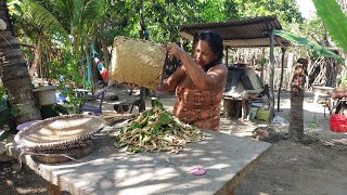 PRIMEIRA COLHEITA DE FAVA E GERIMUM DA NOSSA ROÇA