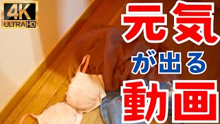 病み上がりなので家でぬくぬくと過ごした日のコーデ