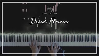 Yuuri | Dried Flower (ドライフラワー) | Piano Cover