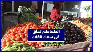 الطماطم تحلق في الأسعار.. 13 درهمًا للكيلوغرام يُثير استياء المستهلكين