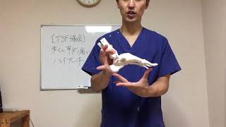 【ハイアーチ　凹足】歩くと痛い！！足の甲の痛みを改善