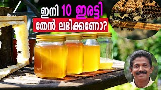 ഇനി 10 ഇരട്ടി തേൻ ലഭിക്കണോ? A tip for bee farmers #honeybee #honey #theneecha #thenkrishi