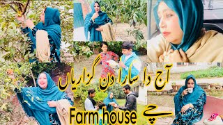 آج دا سارا دن گزارياں farm house 🏠 چے ty sarya ny kita enjoy iram akbar vlogs