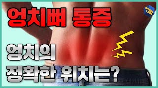 엉치가 아파요ㅠㅠ | 엉치뼈 통증 | 어떤 부위를 엉치라고 할까??