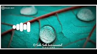 Instrumental Ringtone || O Saki Saki Ringtone || Muzic Boy || Download Link⬇️