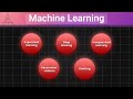 Master Machine Learning: 5 Essential Tips for Beginners in 2024