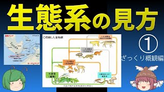 【生物学】生態系の見方①―ざっくり概観編―（高校生物）