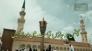 Tajdar-e-Haram Ae Shahenshah-e-Deen | SALAM | Best Naats  |LYRICS| Ramzan Shareef 2022