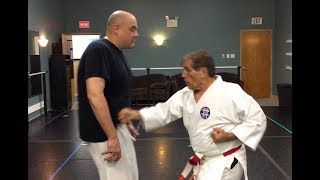 Lesson on Punching and Attacking