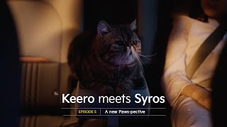 Kia India | Keero Meets Syros | EP 05: A new Paws-pective