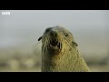 Journey Through The Seven Continents Of Our World  4K UHD  Seven Worlds One Planet  BBC Earth