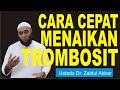 ZAIDUL AKBAR TROMBOSIT | CARA CEPAT DAN AMPUH MENAIKAN TROMBOSIT DARAH  ORANG DEWASA DAN ANAK