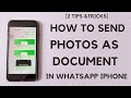 How To Send Photos As Document In Whatsapp iPhone