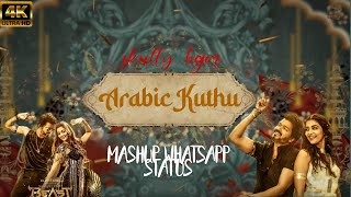 Arabic Kuthu - love mix full screen whatsapp status skully bgm