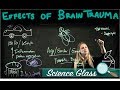 Brain Trauma in Fruit Flies