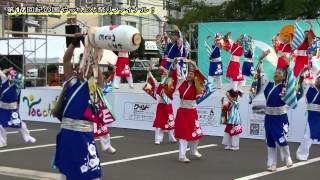 和歌山ＭＯＶＥ　（第17回紀の国やっちょん祭り）ファイナル！