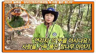 숲해설가가 전해드려요! 국립상당산성자연휴양림 속 사랑 품은 참나무