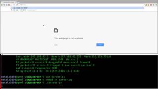 Setup a Webserver with Python Linux Tutorials clip29