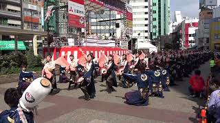 東京よさこい2017 ～ 早稲田大学よさこいチーム 東京花火