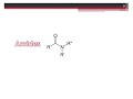 07 amines u0026 amides