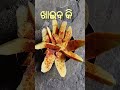 ଲୁଣ ମରିଚ ଆମ୍ବ sdhantal