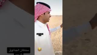 سلطان الجالوق