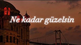 Mustafa Ceceli - “Ne kadar güzelsin”🎵❤️ турецкий песни #music Машаллах караоке н