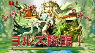 【パズドラ】ヨルズ降臨！ シヴァドラゴン