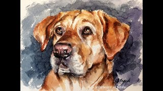 Watercolour Dog portrait REAL TIME painting demo by Ch.Karron