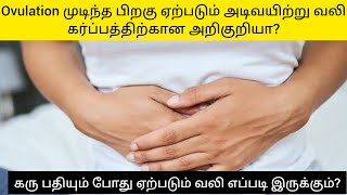 Lower abdominal pain and back pain after Ovulation || Early pregnancy symptoms in Tamil