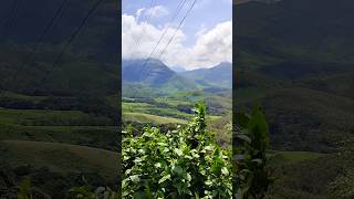 Wow 😳 Amazing View 👏 #shorts #munnar #tatapunch #kerala