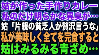 【スカッとする話】姑が作った手作りカレー私のだけ明らかな異臭が…姑「片親の貧乏人が贅沢言うな」私が美味しく全てを完食すると姑はみるみる青ざめ