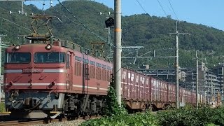 3092レ　EF81-404(代走)牽引貨物列車　百山踏切(山崎～島本)通過