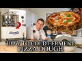 HOW TO COLD FERMENT NEAPOLITAN PIZZA DOUGH |PUGLISI MIXER REVIEW