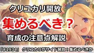 【プリコネ】クリユカリがサイドで開放！集めるべきか！？育成の注意点解説【プリンセスコネクト！】