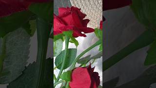 ആദ്യ വിവാഹവാർഷികത്തിന് അവനായി.... ❣️ #dailyvlog #frame #minivlog #shortvideo