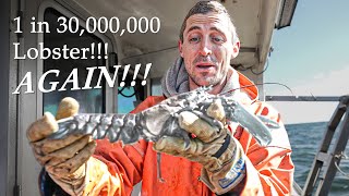 1 in 30 MILLION Lobster!!!