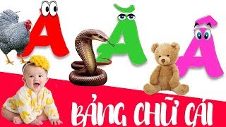 Dạy bé học chữ cái tiếng việt | giúp em học đọc bảng chữ cái abc | dạy trẻ thông minh sớm