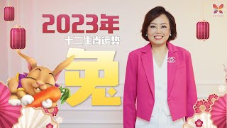 出生🐇兔月的人在2023年值太岁财富双收‼️ 2023 Rabbit Animal Sign Forecast by Suyenlim