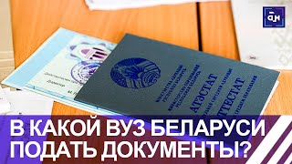 Вступительная кампания в Беларуси. Куда поступить? Панорама