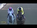 20240619 hollywoodbets greyville race 6 won by winter waves