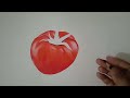 realistic drawing tutorial how to draw tomato realistic tomato drawing🍅