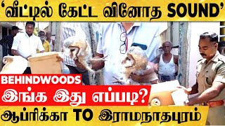 நடு வீட்டில் அலறல் SOUND...இங்க இது எப்படி வந்துச்சு? ஆப்ரிக்கா To இராமநாதபுரம் வந்த பின்னணி