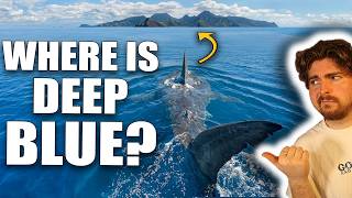 Why We Haven't Seen 'Deep Blue' In Years