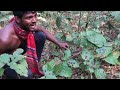 lion attack man in deep forest lion attack hunter lion attack stories part 72