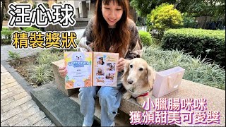 【汪心球SinStar】專屬毛孩精裝獎狀│給毛孩最好的愛與鼓勵│小臘腸咪咪獲頒『甜美可愛獎』！