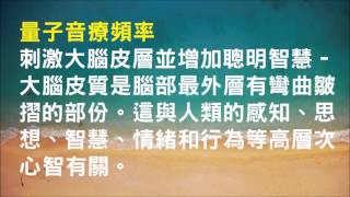 針對刺激大腦皮層並增加聰明智慧 - 大腦皮質是腦部最外層有彎曲皺摺的部份 - 1.0版本 - 請閱讀影片使用說明 (建議使用耳機聆聽)