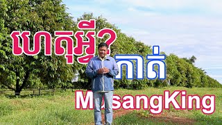 ហេតុអ្វីកាត់ពូជទុរេន MusangKing ចោល?